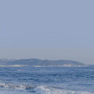 无套内谢少妇毛片A片软件美国
