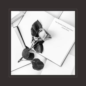 无套内谢少妇毛片A片软件美国
